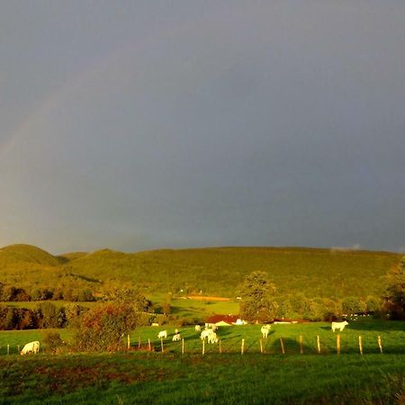 Terres De La Grange Bed & Breakfast Cuisiat ภายนอก รูปภาพ